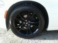 White Knuckle - Charger SXT Photo No. 20