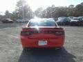 Go Mango - Charger SXT Photo No. 4