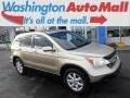 2008 Borrego Beige Metallic Honda CR-V EX-L 4WD  photo #1