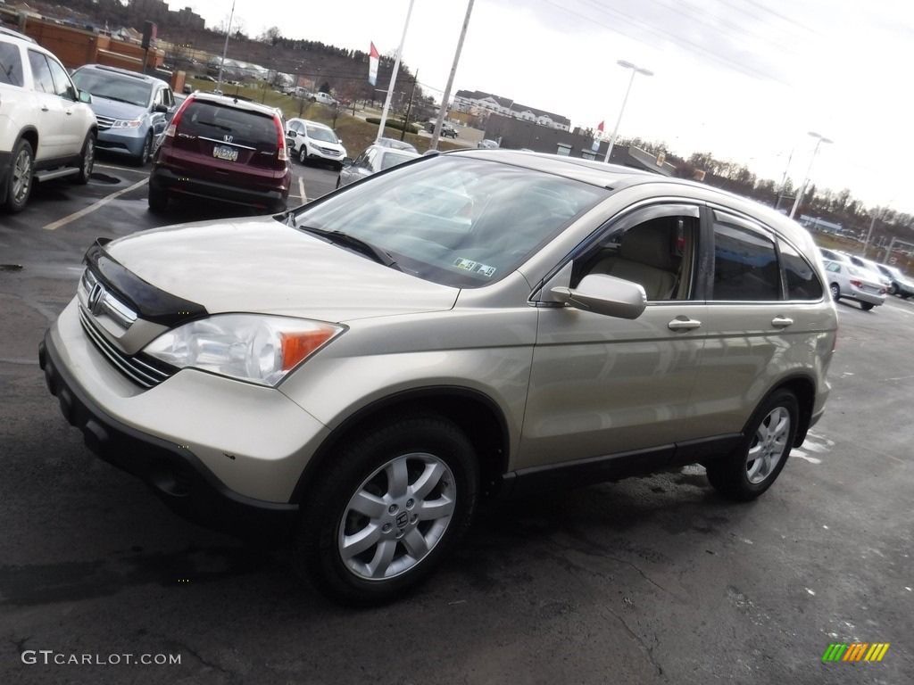 2008 CR-V EX-L 4WD - Borrego Beige Metallic / Ivory photo #6