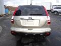 Borrego Beige Metallic - CR-V EX-L 4WD Photo No. 9