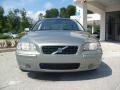 Willow Green Metallic - S60 2.5T Photo No. 8