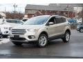 White Gold - Escape SE 4WD Photo No. 1