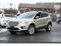 2018 White Gold Ford Escape SE 4WD  photo #1