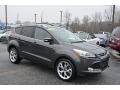 2016 Magnetic Metallic Ford Escape Titanium  photo #1