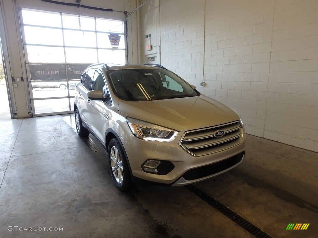 White Gold Ford Escape