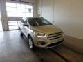 2018 White Gold Ford Escape SEL  photo #1