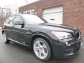 2015 Black Sapphire Metallic BMW X1 xDrive35i  photo #7