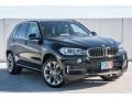 Jet Black - X5 sDrive35i Photo No. 12