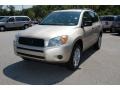 Savannah Metallic - RAV4 4WD Photo No. 12