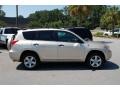 Savannah Metallic - RAV4 4WD Photo No. 14