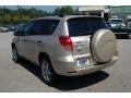 Savannah Metallic - RAV4 4WD Photo No. 17