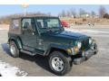 Forest Green - Wrangler Sahara 4x4 Photo No. 2