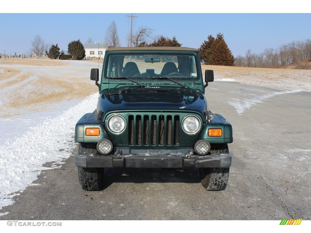 2001 Wrangler Sahara 4x4 - Forest Green / Camel/Dark Green photo #4