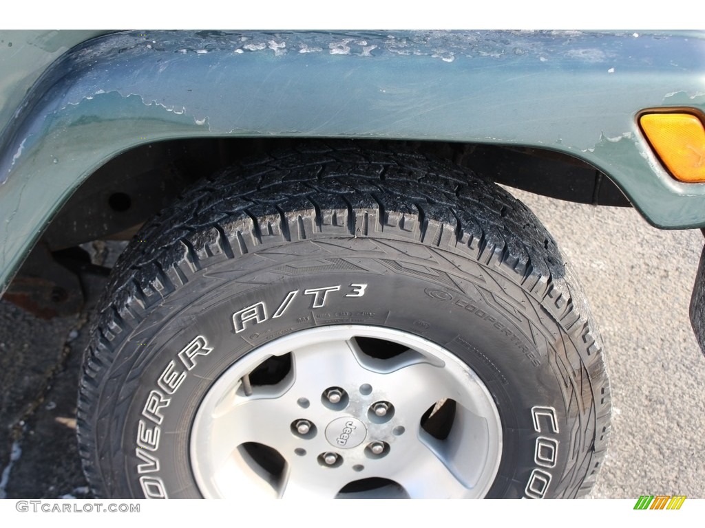 2001 Wrangler Sahara 4x4 - Forest Green / Camel/Dark Green photo #7