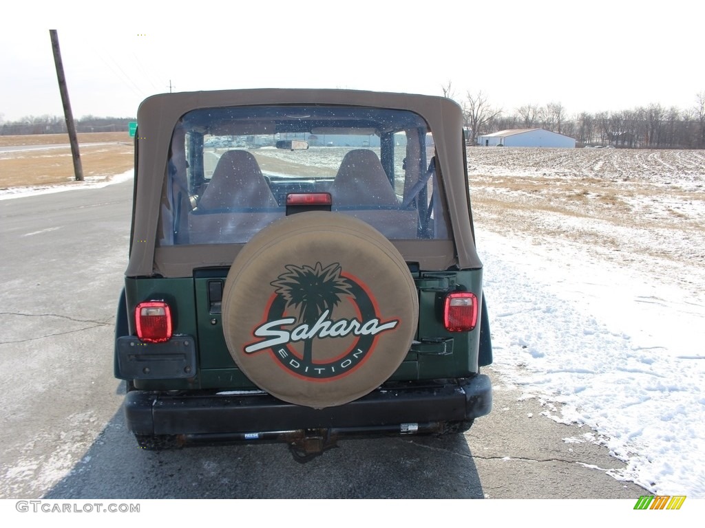 2001 Wrangler Sahara 4x4 - Forest Green / Camel/Dark Green photo #11