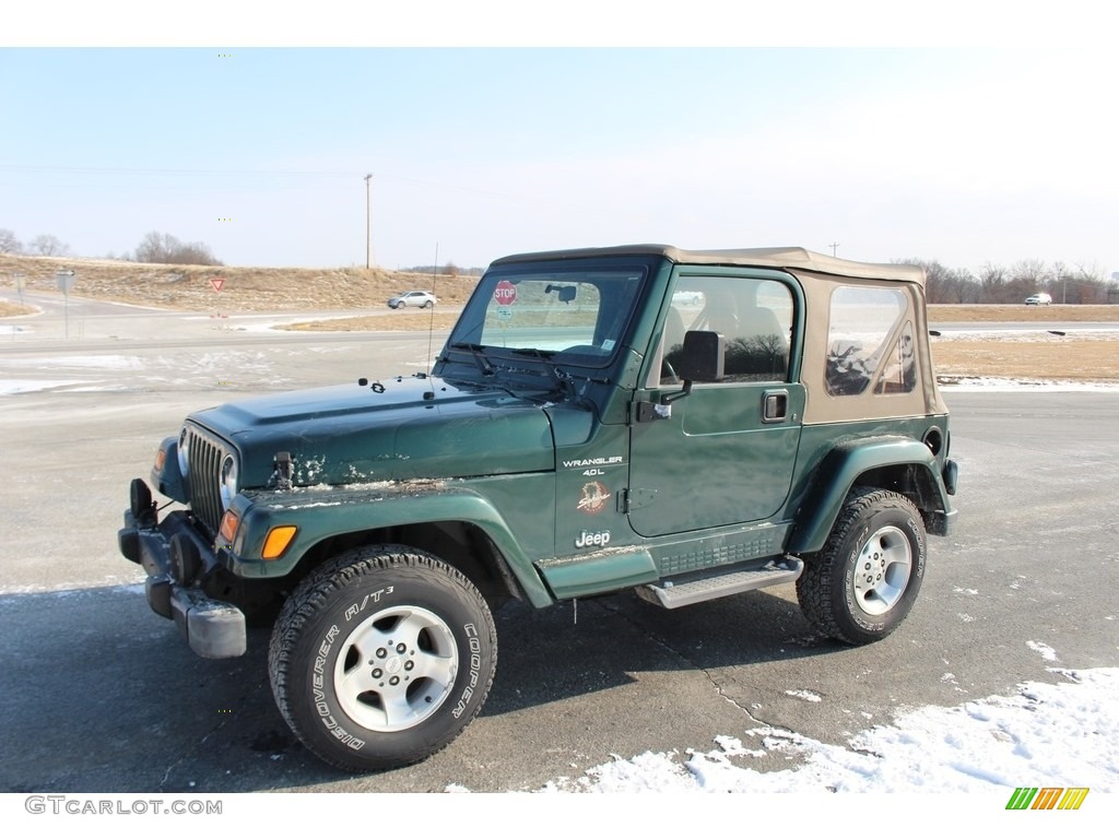 2001 Wrangler Sahara 4x4 - Forest Green / Camel/Dark Green photo #29