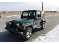 Forest Green - Wrangler Sahara 4x4 Photo No. 30