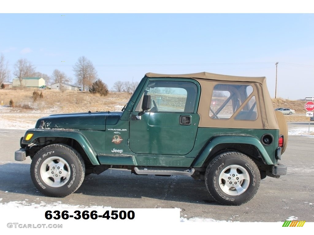 2001 Wrangler Sahara 4x4 - Forest Green / Camel/Dark Green photo #32