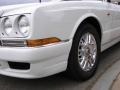 1999 White Bentley Azure   photo #10