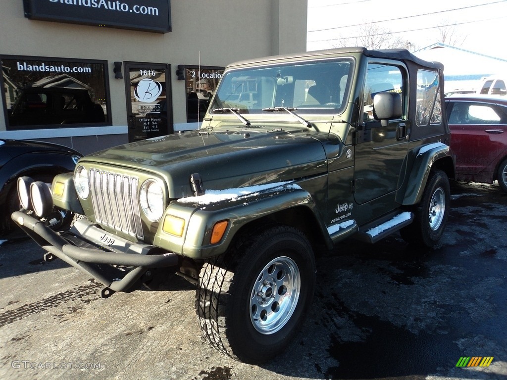 2006 Wrangler X 4x4 - Jeep Green Metallic / Dark Slate Gray photo #2