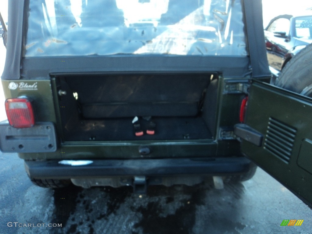 2006 Wrangler X 4x4 - Jeep Green Metallic / Dark Slate Gray photo #26