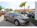 Titanium Beige - Passat SE Sedan Photo No. 1