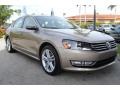 Titanium Beige - Passat SE Sedan Photo No. 2