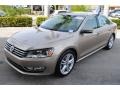 Titanium Beige - Passat SE Sedan Photo No. 4