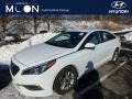 Quartz White Pearl - Sonata SE Photo No. 1