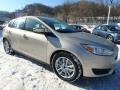 White Gold - Focus SE Hatch Photo No. 9