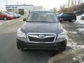Dark Gray Metallic - Forester 2.5i Premium Photo No. 3