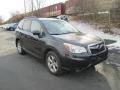 Dark Gray Metallic - Forester 2.5i Premium Photo No. 4