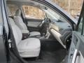 Dark Gray Metallic - Forester 2.5i Premium Photo No. 18