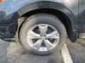 Dark Gray Metallic - Forester 2.5i Premium Photo No. 23
