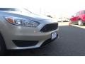 White Gold - Focus SE Hatch Photo No. 26