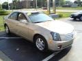 Sand Storm - CTS Sedan Photo No. 3