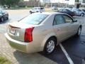 Sand Storm - CTS Sedan Photo No. 4