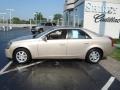 Sand Storm - CTS Sedan Photo No. 7