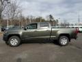 2018 Deepwood Green Metallic Chevrolet Colorado WT Crew Cab 4x4  photo #3