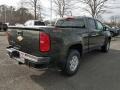 2018 Deepwood Green Metallic Chevrolet Colorado WT Crew Cab 4x4  photo #5