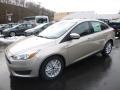 White Gold - Focus SE Sedan Photo No. 2