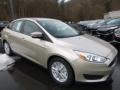 White Gold - Focus SE Sedan Photo No. 5