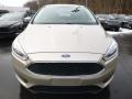 White Gold - Focus SE Sedan Photo No. 6
