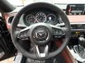 Auburn Steering Wheel Photo for 2018 Mazda CX-9 #125010192