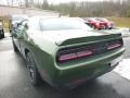 F8 Green - Challenger R/T Photo No. 3