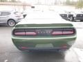 F8 Green - Challenger R/T Photo No. 4