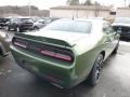 F8 Green - Challenger R/T Photo No. 5