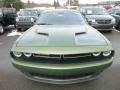 F8 Green - Challenger R/T Photo No. 8