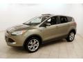 2013 Ginger Ale Metallic Ford Escape SEL 1.6L EcoBoost 4WD  photo #3